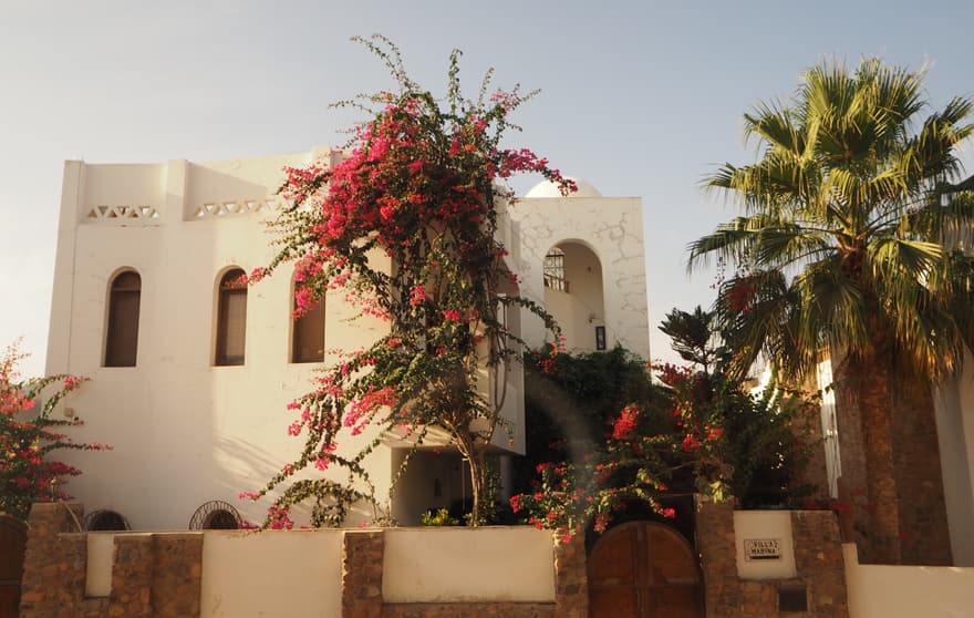 Photograph — 2022, Egypt