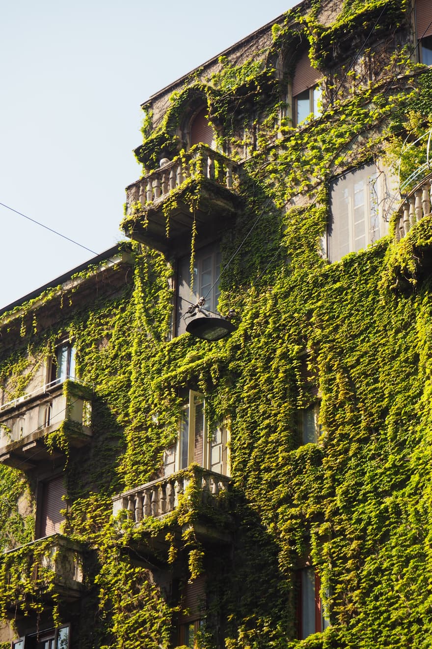 Photograph — 2025, Milan