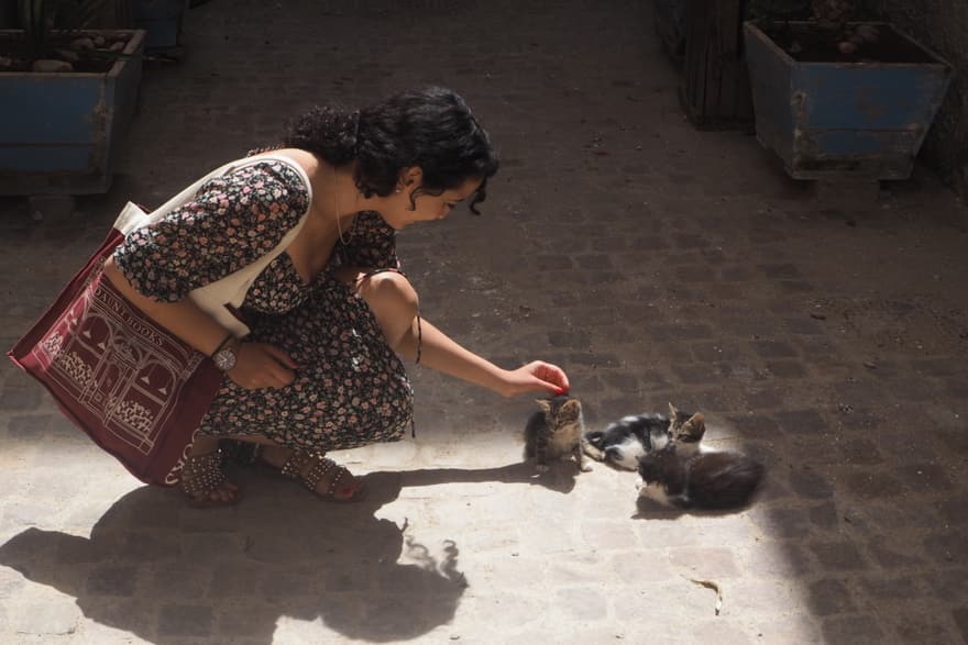 Photograph — 2022, Morocco