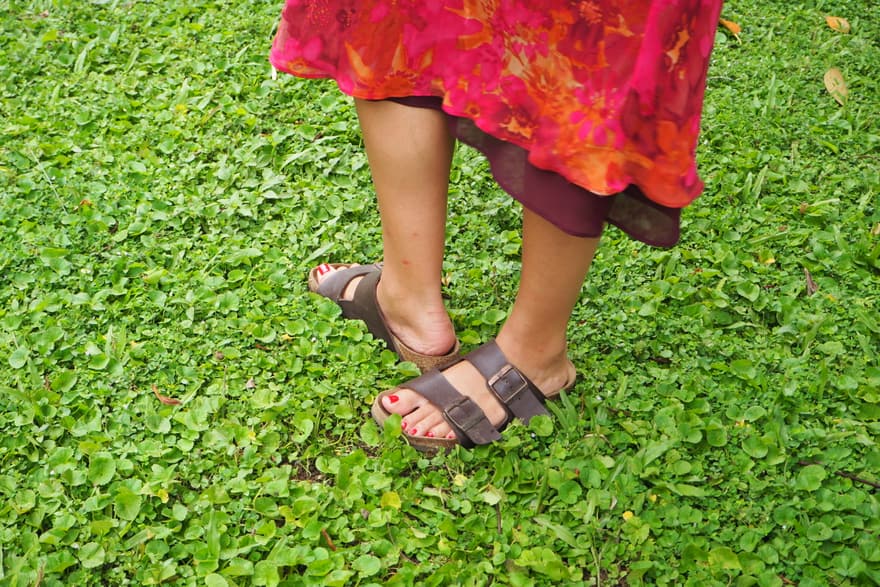 Photograph — 2026, Sri Lanka