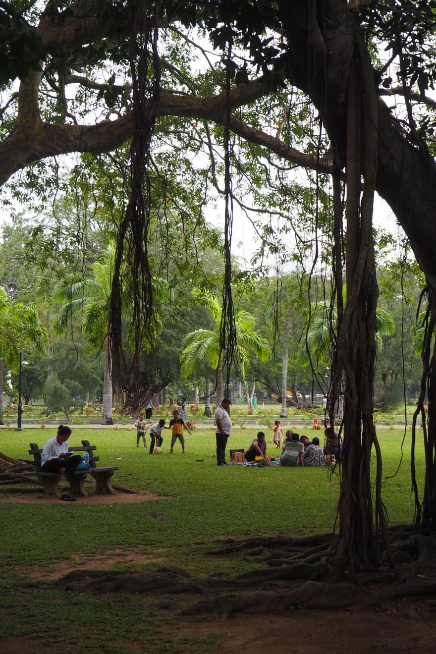 Photograph — 2026, Sri Lanka